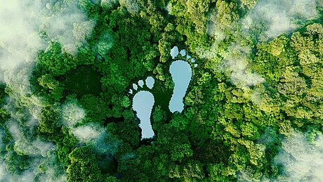 Wald von oben fotografiert mit einem grafischen Fußabdruck in der Mitte.